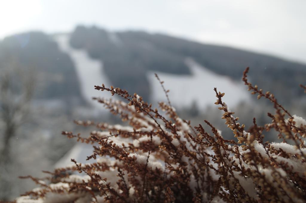 Hotel Belvedere Semmering Exterior foto